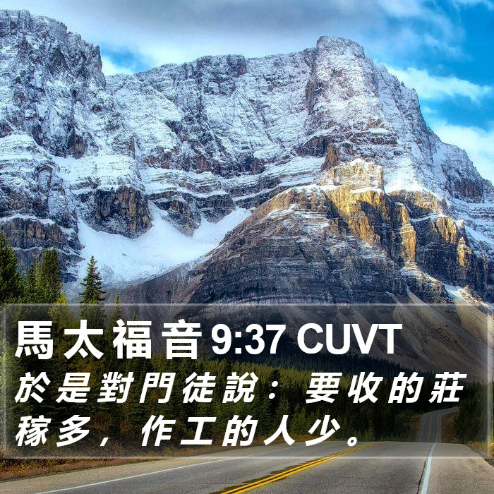 馬 太 福 音 9:37 CUVT Bible Study