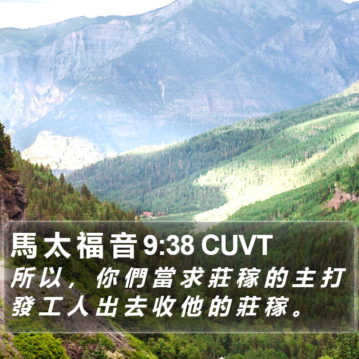 馬 太 福 音 9:38 CUVT Bible Study