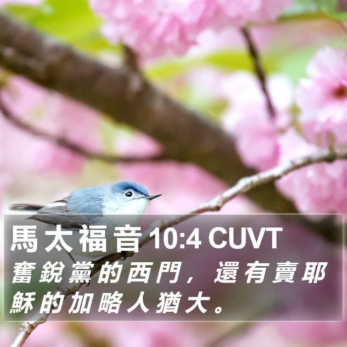 馬 太 福 音 10:4 CUVT Bible Study