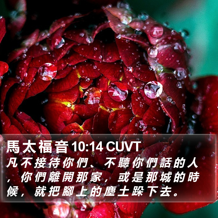 馬 太 福 音 10:14 CUVT Bible Study