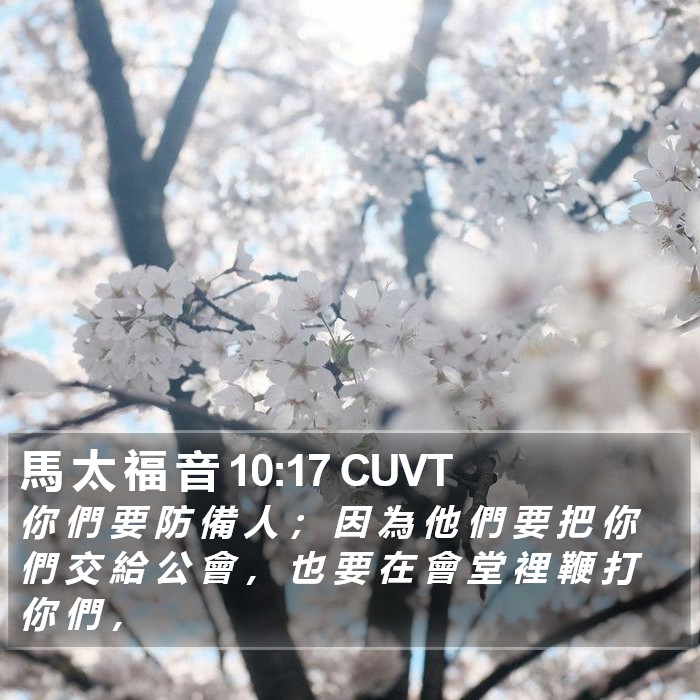 馬 太 福 音 10:17 CUVT Bible Study