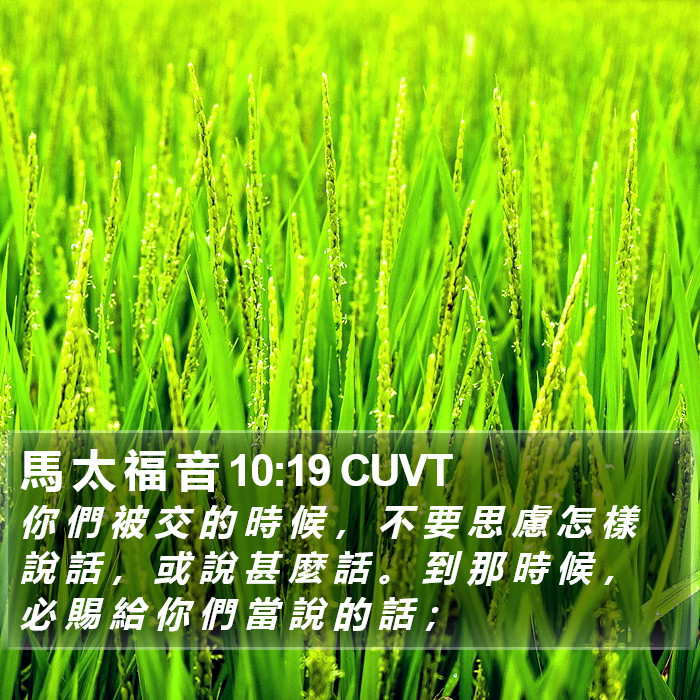 馬 太 福 音 10:19 CUVT Bible Study