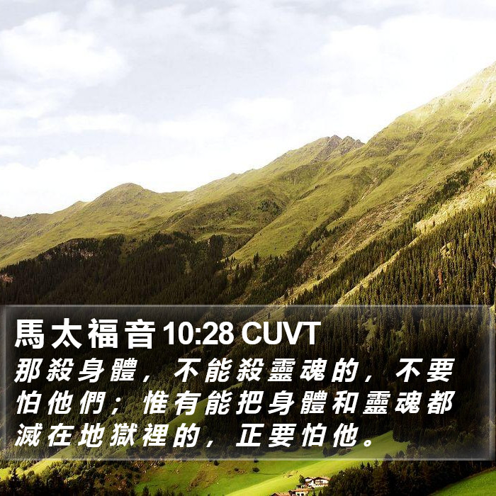 馬 太 福 音 10:28 CUVT Bible Study