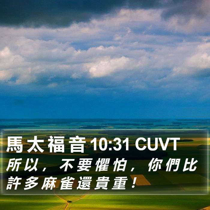 馬 太 福 音 10:31 CUVT Bible Study