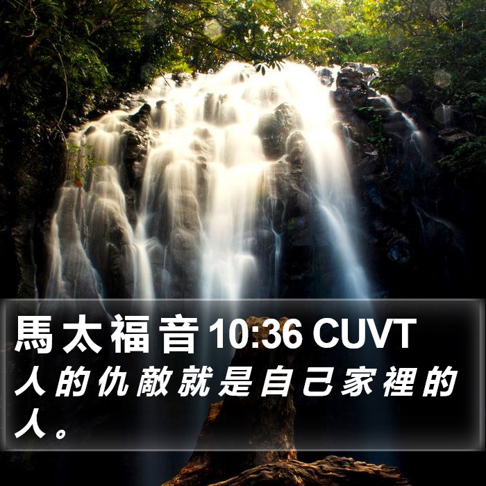 馬 太 福 音 10:36 CUVT Bible Study