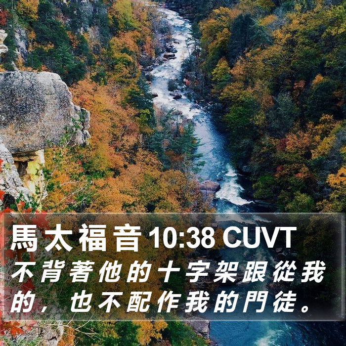 馬 太 福 音 10:38 CUVT Bible Study