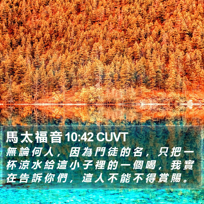 馬 太 福 音 10:42 CUVT Bible Study