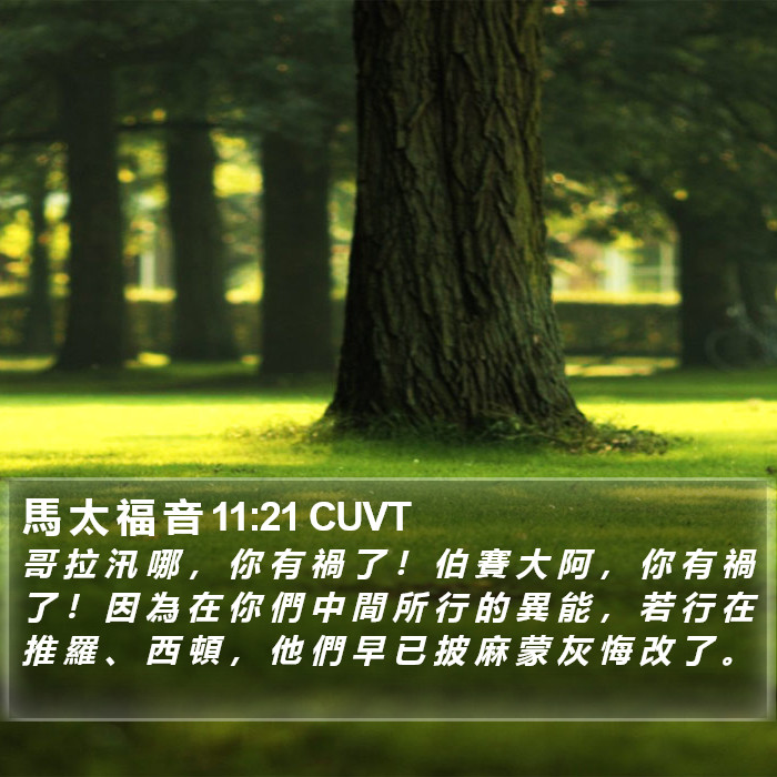 馬 太 福 音 11:21 CUVT Bible Study