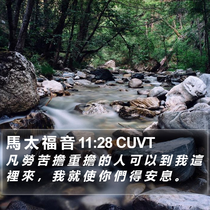 馬 太 福 音 11:28 CUVT Bible Study