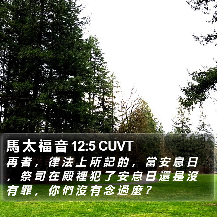 馬 太 福 音 12:5 CUVT Bible Study