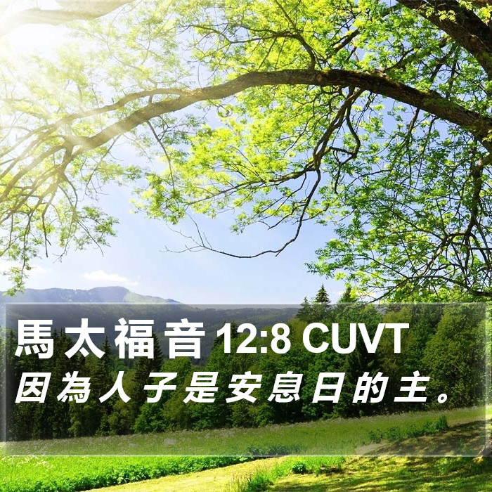 馬 太 福 音 12:8 CUVT Bible Study