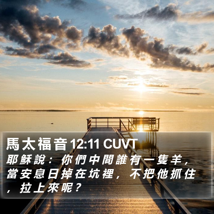 馬 太 福 音 12:11 CUVT Bible Study