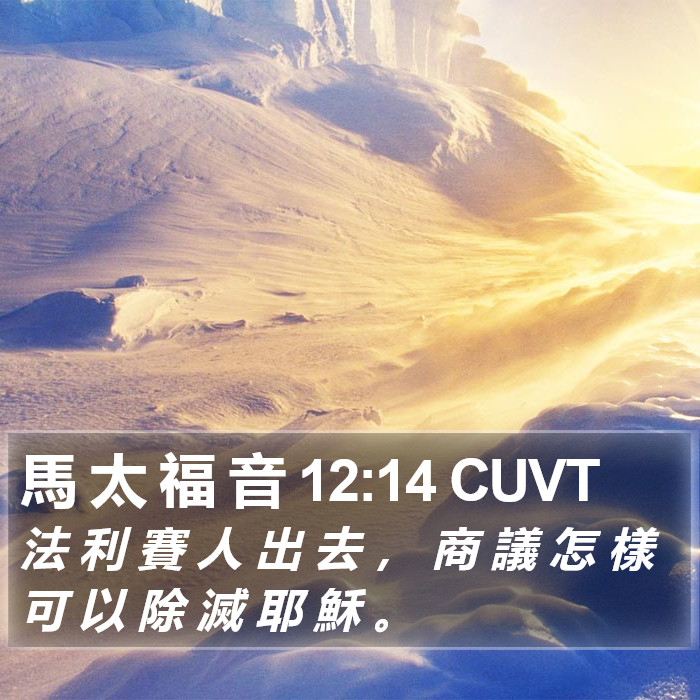 馬 太 福 音 12:14 CUVT Bible Study
