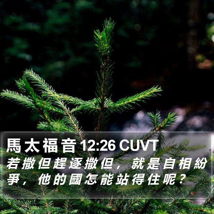 馬 太 福 音 12:26 CUVT Bible Study