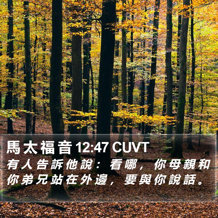 馬 太 福 音 12:47 CUVT Bible Study