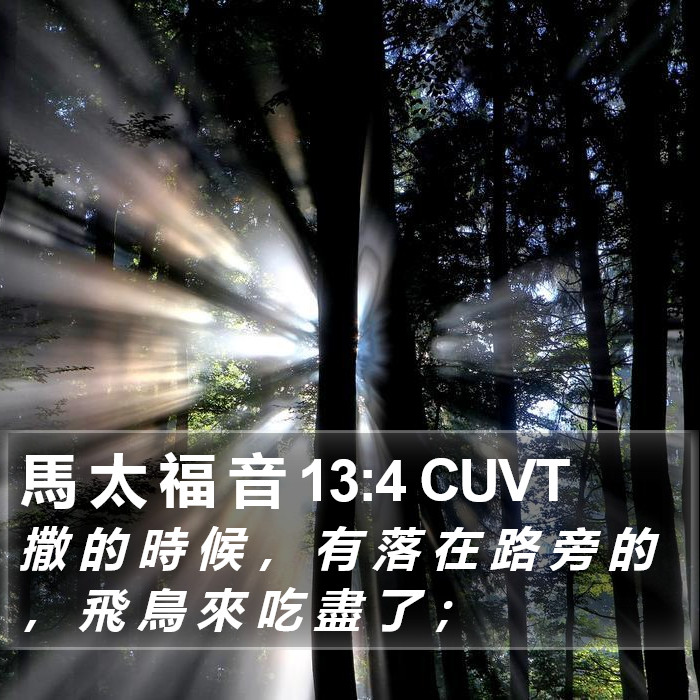 馬 太 福 音 13:4 CUVT Bible Study