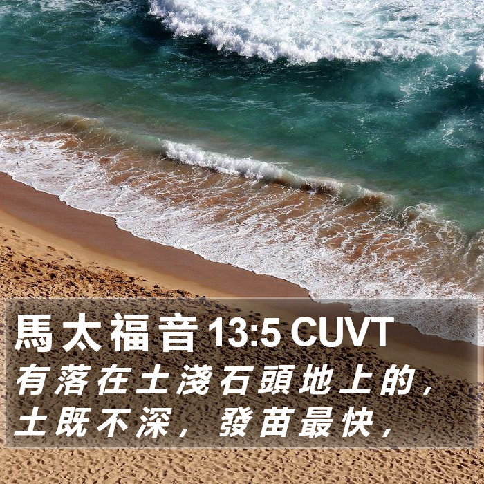 馬 太 福 音 13:5 CUVT Bible Study