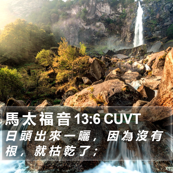 馬 太 福 音 13:6 CUVT Bible Study