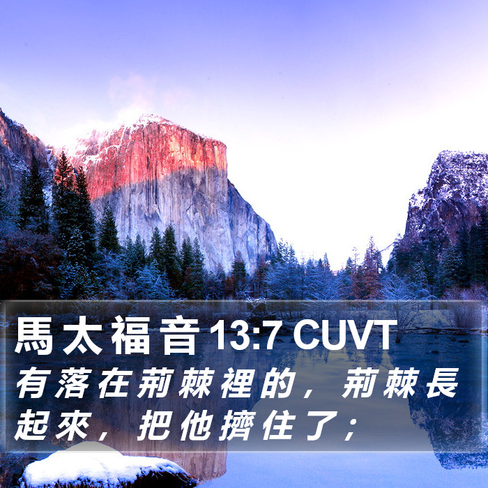 馬 太 福 音 13:7 CUVT Bible Study