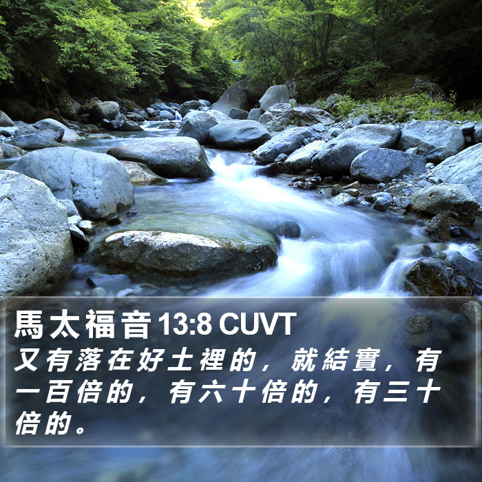 馬 太 福 音 13:8 CUVT Bible Study