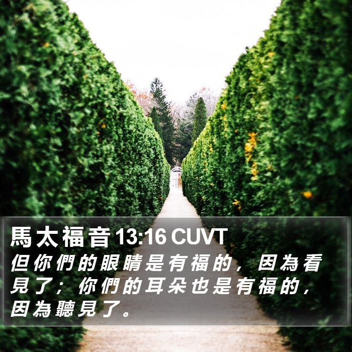 馬 太 福 音 13:16 CUVT Bible Study