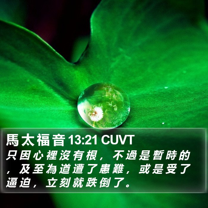 馬 太 福 音 13:21 CUVT Bible Study