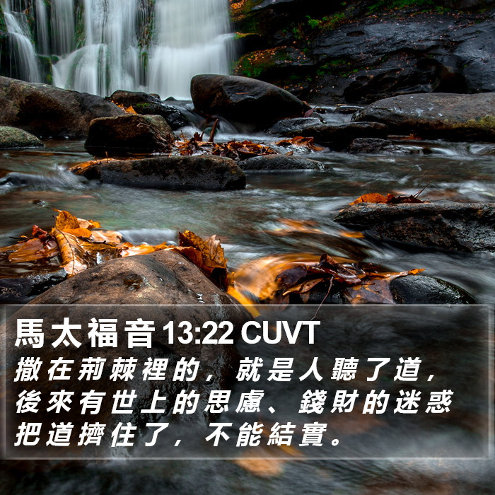 馬 太 福 音 13:22 CUVT Bible Study