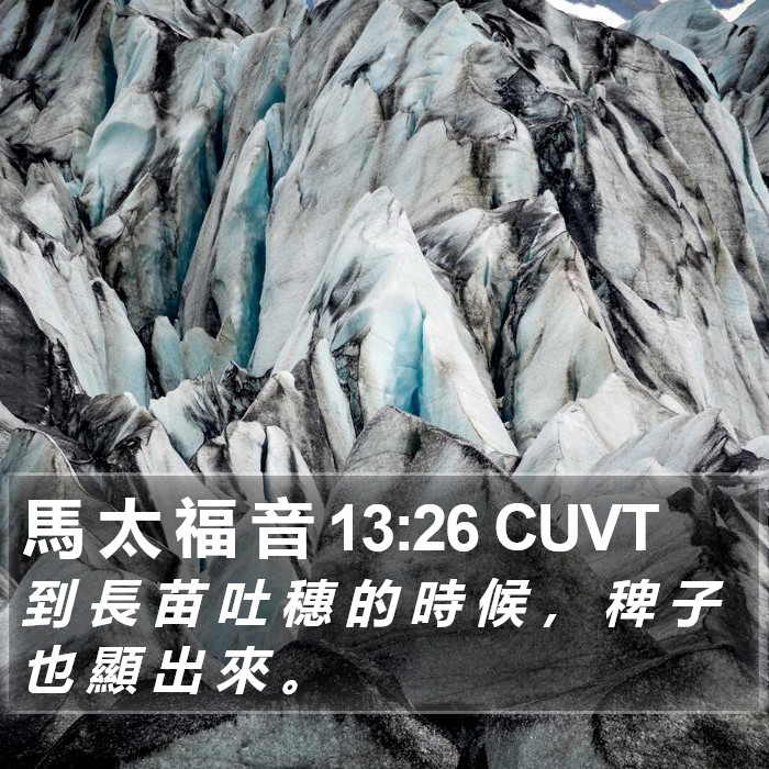 馬 太 福 音 13:26 CUVT Bible Study