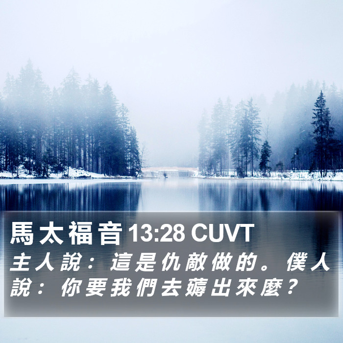 馬 太 福 音 13:28 CUVT Bible Study