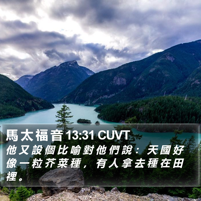 馬 太 福 音 13:31 CUVT Bible Study