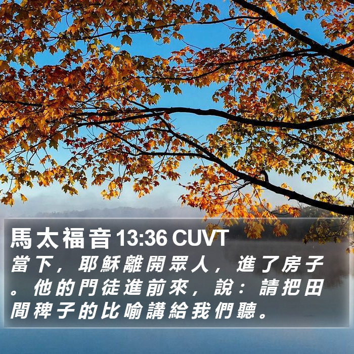 馬 太 福 音 13:36 CUVT Bible Study