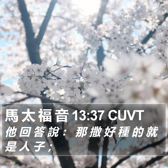 馬 太 福 音 13:37 CUVT Bible Study