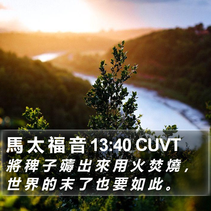 馬 太 福 音 13:40 CUVT Bible Study