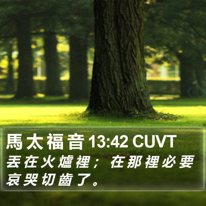 馬 太 福 音 13:42 CUVT Bible Study