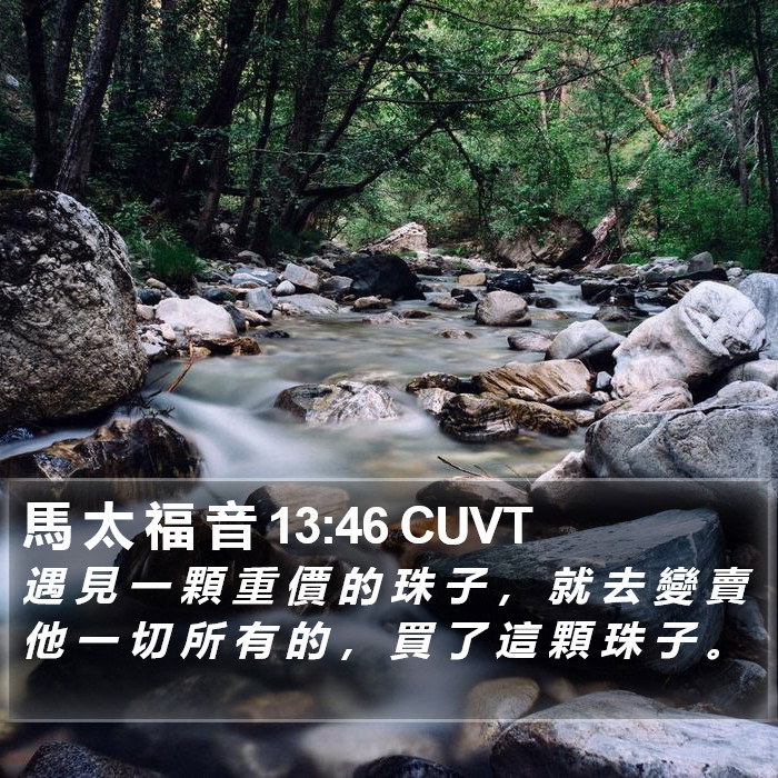 馬 太 福 音 13:46 CUVT Bible Study