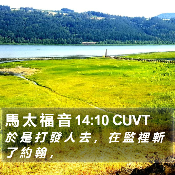 馬 太 福 音 14:10 CUVT Bible Study