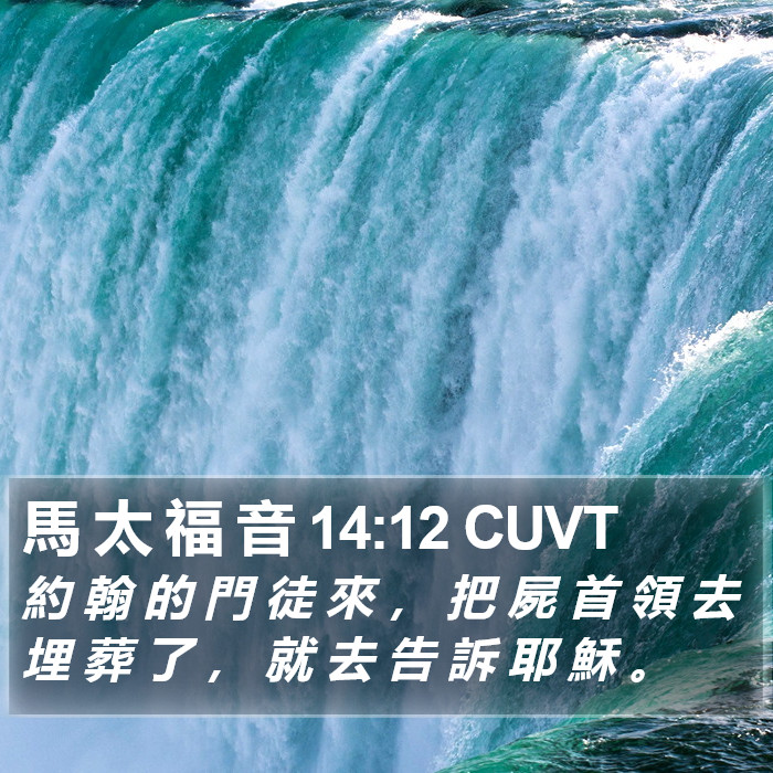 馬 太 福 音 14:12 CUVT Bible Study
