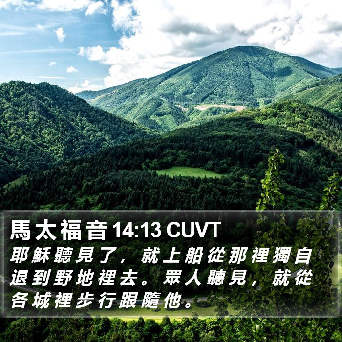 馬 太 福 音 14:13 CUVT Bible Study