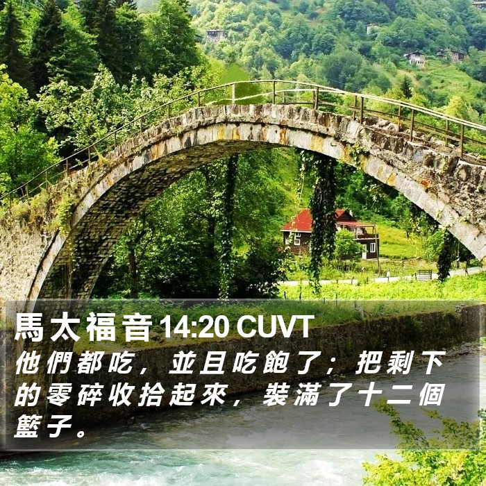馬 太 福 音 14:20 CUVT Bible Study