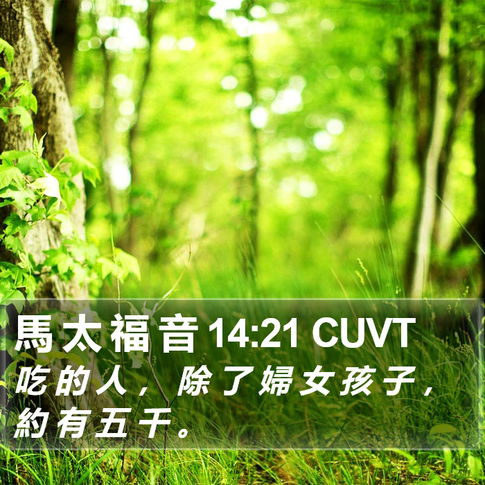 馬 太 福 音 14:21 CUVT Bible Study