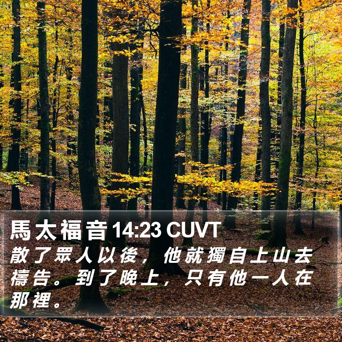 馬 太 福 音 14:23 CUVT Bible Study