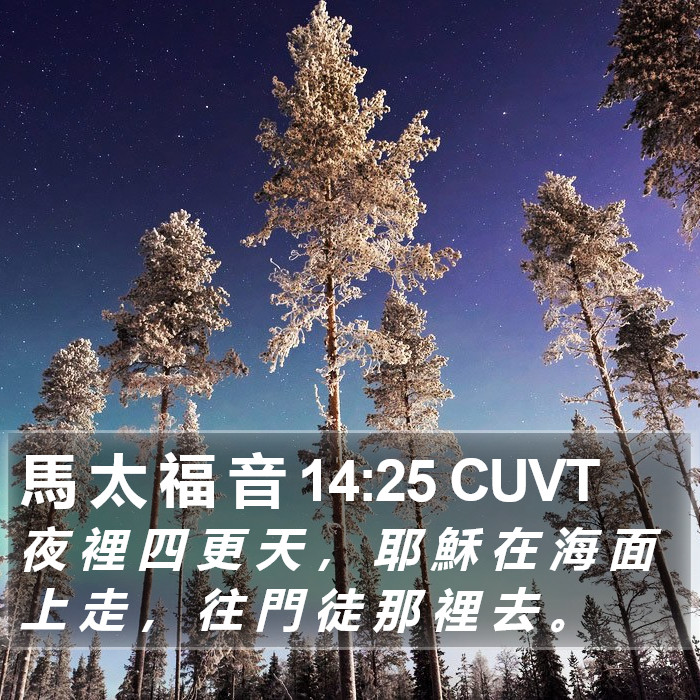 馬 太 福 音 14:25 CUVT Bible Study