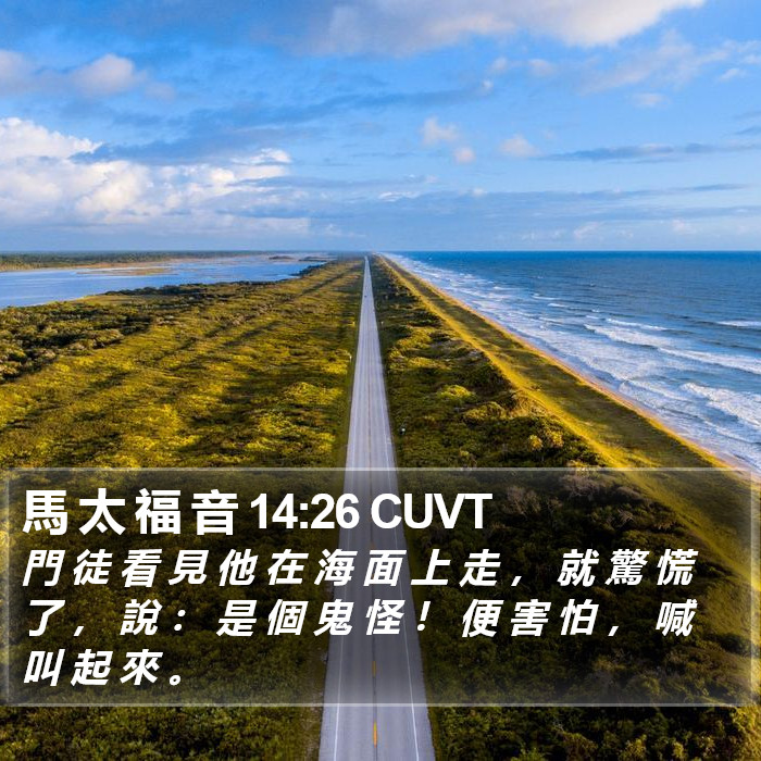 馬 太 福 音 14:26 CUVT Bible Study