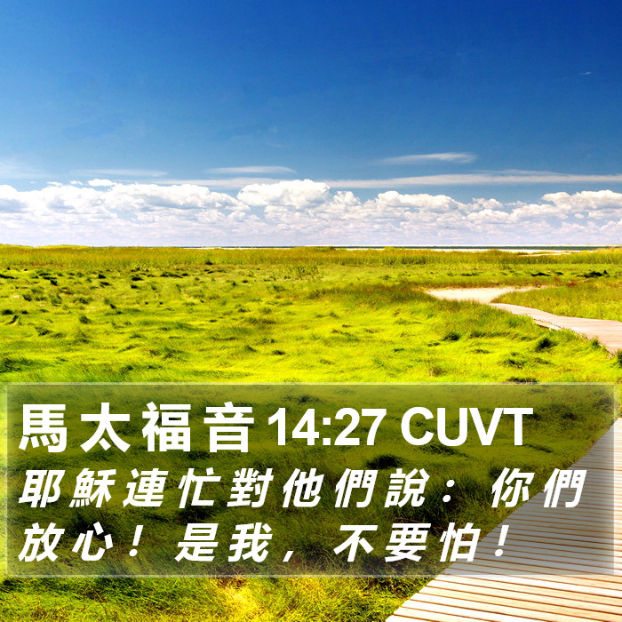 馬 太 福 音 14:27 CUVT Bible Study