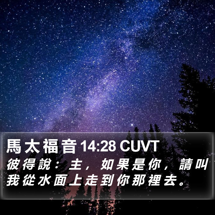 馬 太 福 音 14:28 CUVT Bible Study