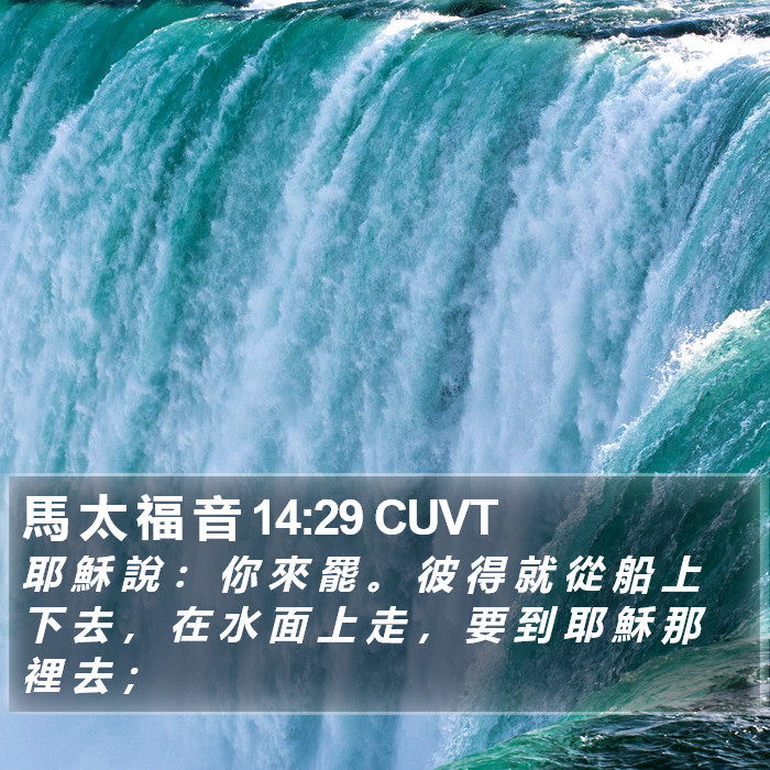 馬 太 福 音 14:29 CUVT Bible Study