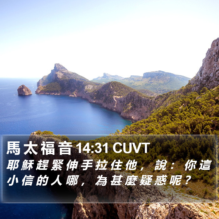 馬 太 福 音 14:31 CUVT Bible Study