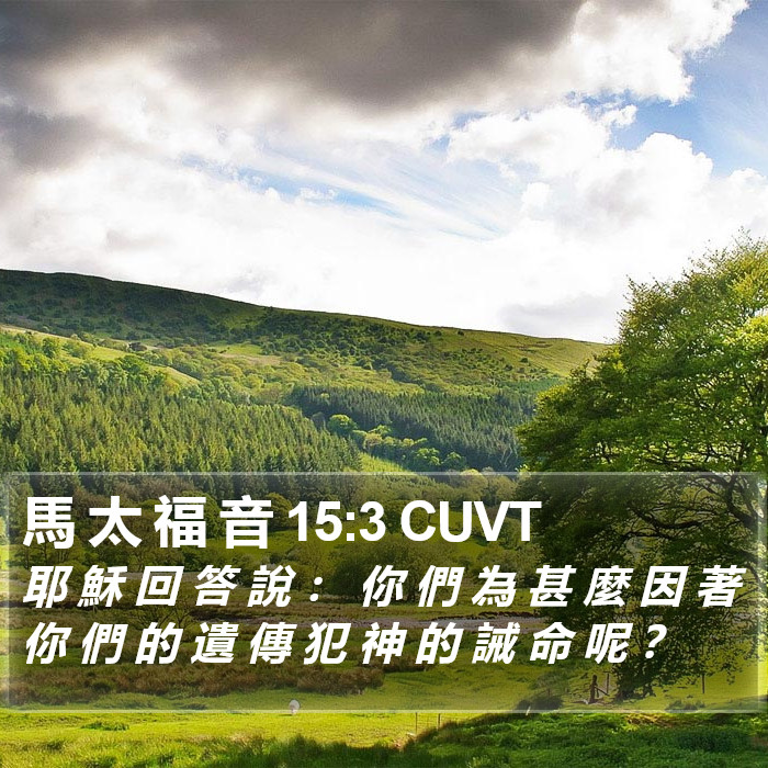馬 太 福 音 15:3 CUVT Bible Study