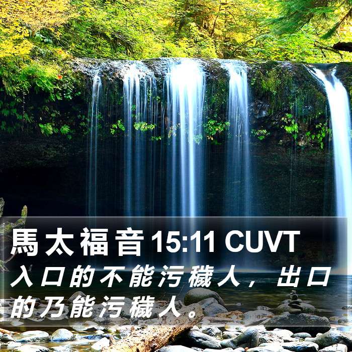 馬 太 福 音 15:11 CUVT Bible Study