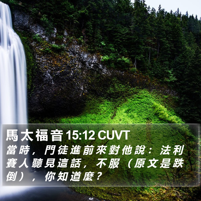 馬 太 福 音 15:12 CUVT Bible Study